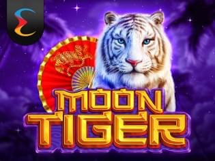 Moon Tiger screenshot