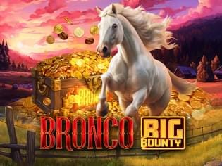 Bronco Big County screenshot